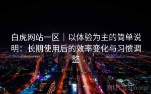 白虎网站一区｜以体验为主的简单说明：长期使用后的效率变化与习惯调整