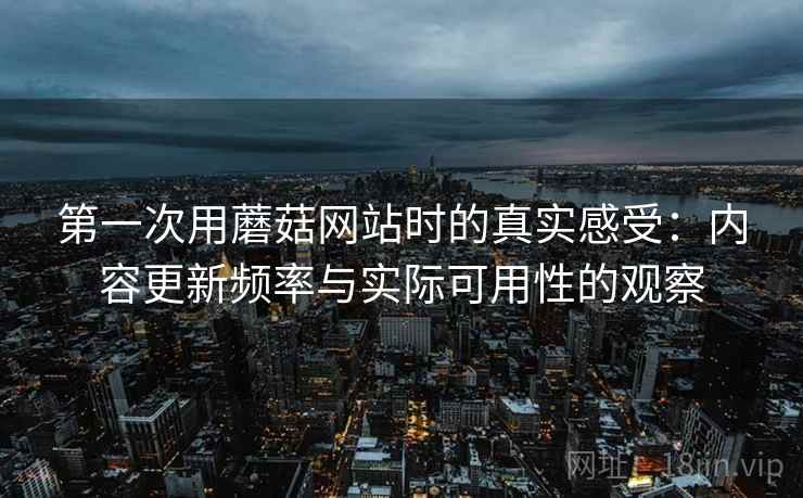 第一次用蘑菇网站时的真实感受：内容更新频率与实际可用性的观察