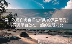 第一次用白虎自扣在线时的真实感受：与同类平台放在一起的直观对比