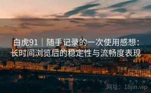 白虎91｜随手记录的一次使用感想：长时间浏览后的稳定性与流畅度表现