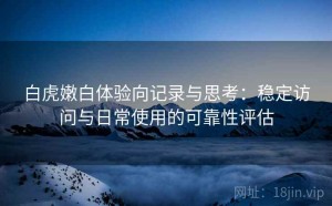 白虎嫩白体验向记录与思考：稳定访问与日常使用的可靠性评估