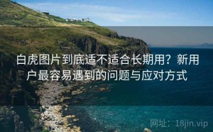 白虎图片到底适不适合长期用？新用户最容易遇到的问题与应对方式