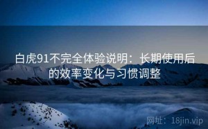 白虎91不完全体验说明：长期使用后的效率变化与习惯调整