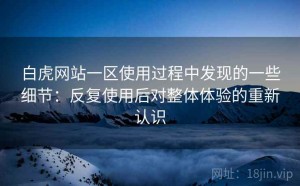 白虎网站一区使用过程中发现的一些细节：反复使用后对整体体验的重新认识