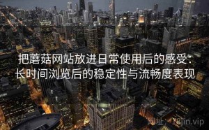 把蘑菇网站放进日常使用后的感受：长时间浏览后的稳定性与流畅度表现