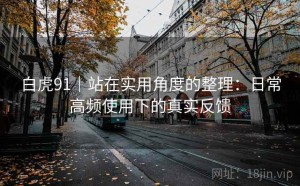白虎91｜站在实用角度的整理：日常高频使用下的真实反馈