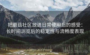 把蘑菇社区放进日常使用后的感受：长时间浏览后的稳定性与流畅度表现