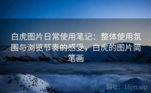 白虎图片日常使用笔记：整体使用氛围与浏览节奏的感受，白虎的图片简笔画
