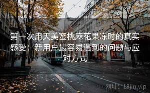 第一次用天美蜜桃麻花果冻时的真实感受：新用户最容易遇到的问题与应对方式