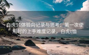 白虎91体验向记录与思考：第一次使用时的上手难度记录，白虎t恤