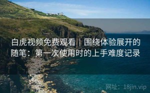 白虎视频免费观看｜围绕体验展开的随笔：第一次使用时的上手难度记录