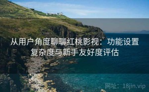 从用户角度聊聊红桃影视：功能设置复杂度与新手友好度评估