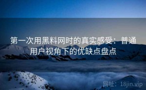 第一次用黑料网时的真实感受：普通用户视角下的优缺点盘点