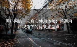 黑料网的一次真实使用体验：普通用户视角下的优缺点盘点