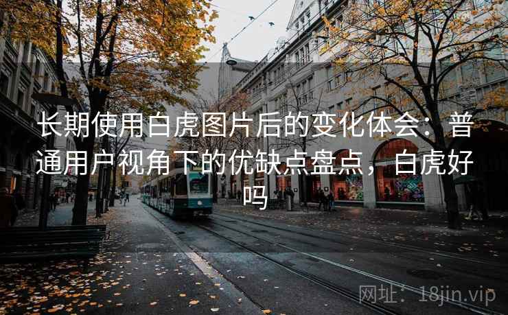 长期使用白虎图片后的变化体会：普通用户视角下的优缺点盘点，白虎好吗