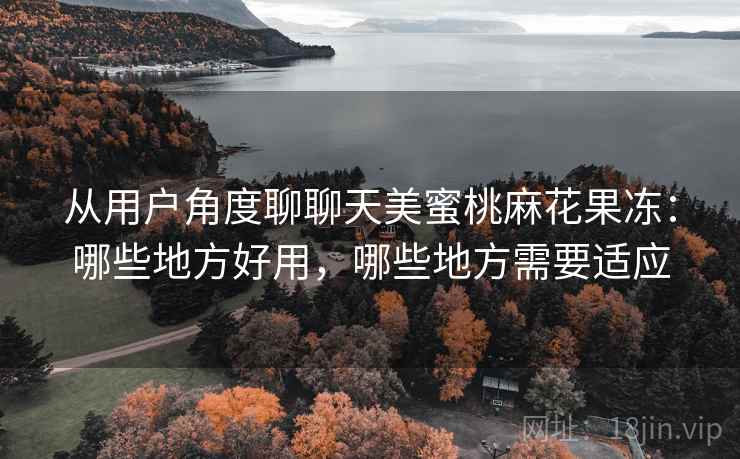 从用户角度聊聊天美蜜桃麻花果冻：哪些地方好用，哪些地方需要适应