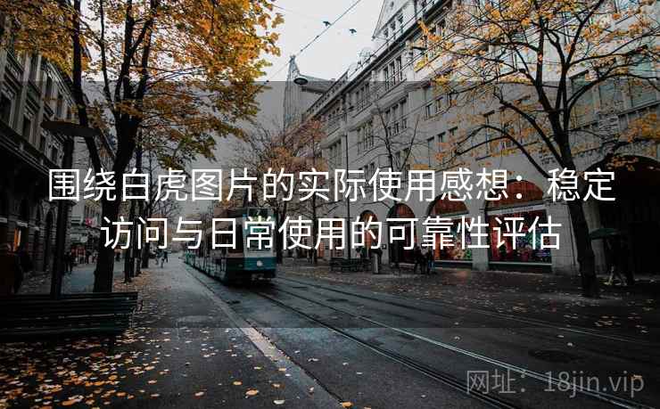 围绕白虎图片的实际使用感想：稳定访问与日常使用的可靠性评估