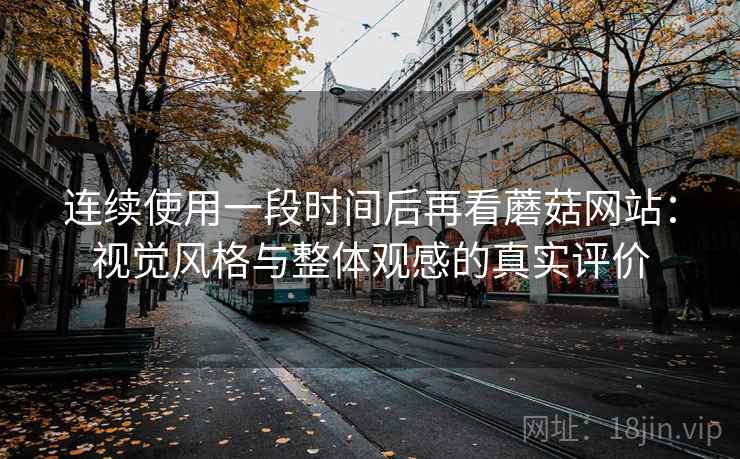 连续使用一段时间后再看蘑菇网站：视觉风格与整体观感的真实评价