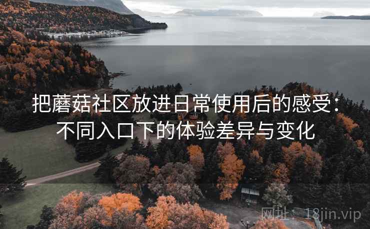 把蘑菇社区放进日常使用后的感受：不同入口下的体验差异与变化