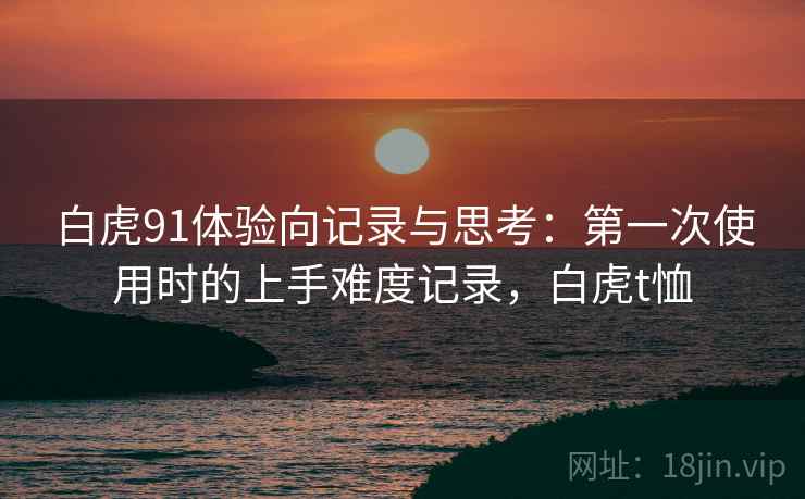 白虎91体验向记录与思考:第一次使用时的上手难度记录,白虎t恤 白虎91体验向记录与思考:第一次使用时的上手难度记录,白虎t恤