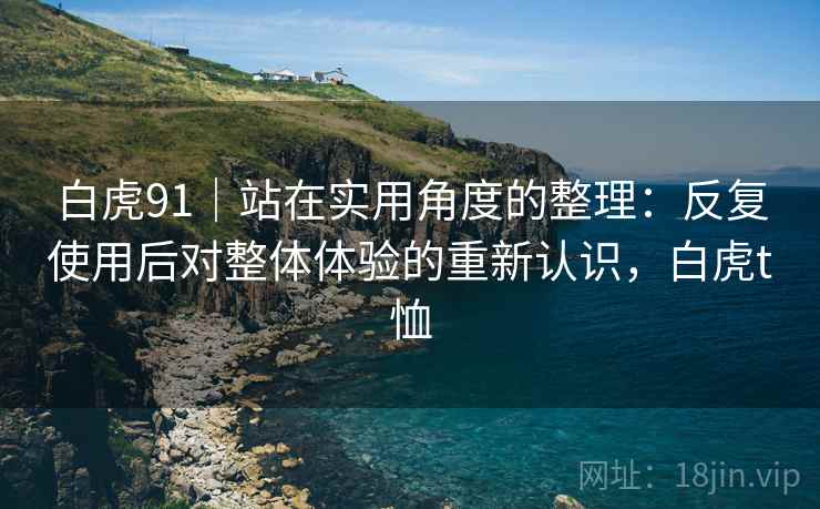 白虎91|站在实用角度的整理:反复使用后对整体体验的重新认识,白虎t恤 白虎91|站在实用角度的整理:反复使用后对整体体验的重新认识,白虎t恤
