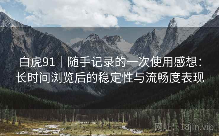 白虎91｜随手记录的一次使用感想：长时间浏览后的稳定性与流畅度表现