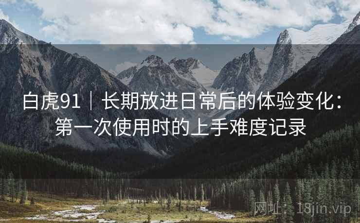 白虎91｜长期放进日常后的体验变化：第一次使用时的上手难度记录