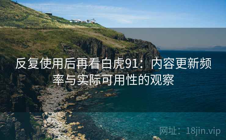 反复使用后再看白虎91:内容更新频率与实际可用性的观察 反复使用后再看白虎91:内容更新频率与实际可用性的观察