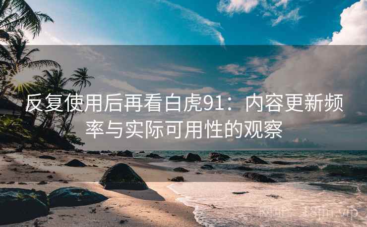 反复使用后再看白虎91:内容更新频率与实际可用性的观察 反复使用后再看白虎91:内容更新频率与实际可用性的观察