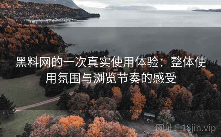 黑料网的一次真实使用体验：整体使用氛围与浏览节奏的感受