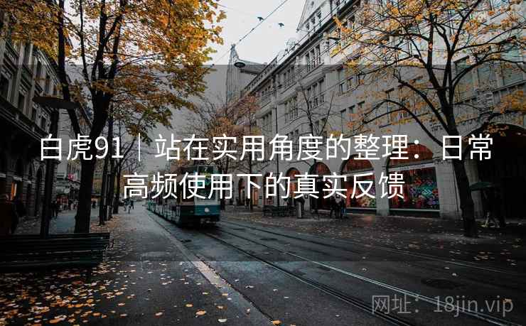 白虎91｜站在实用角度的整理：日常高频使用下的真实反馈
