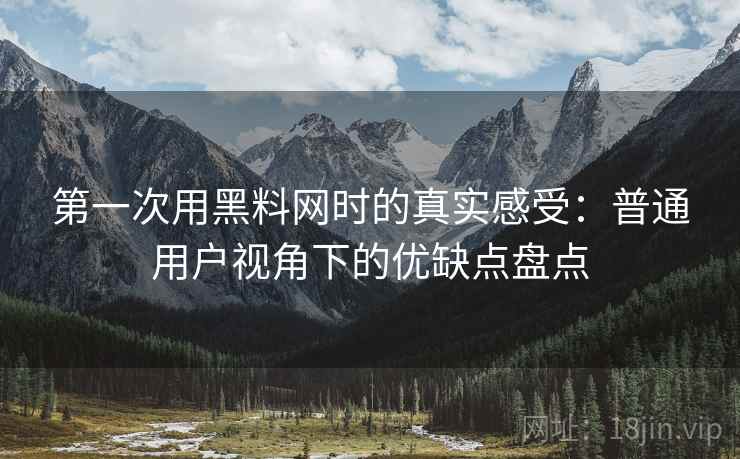 第一次用黑料网时的真实感受：普通用户视角下的优缺点盘点